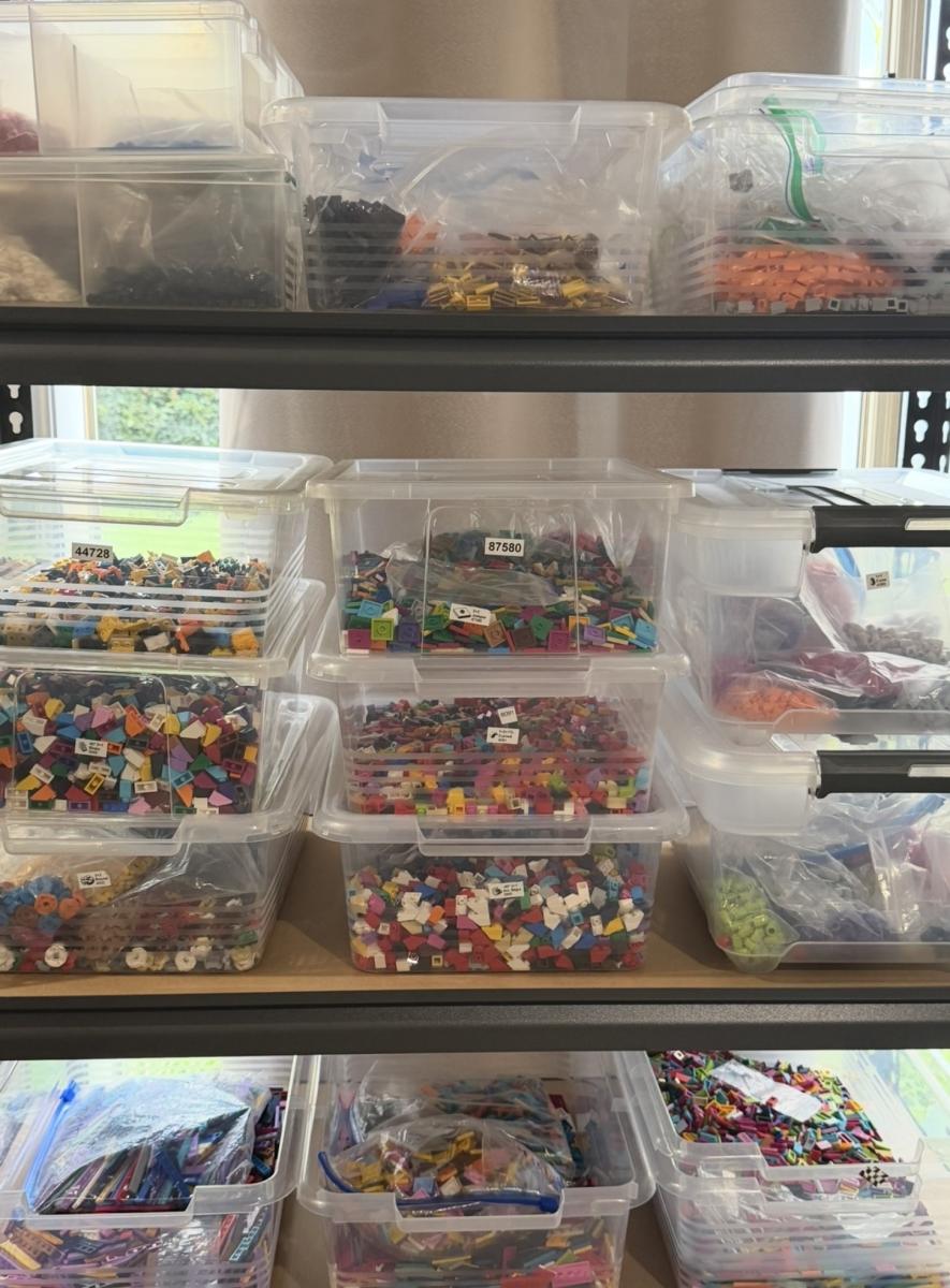 BrickLink Store for Sale – Established Inventory + Storage (AU Based)