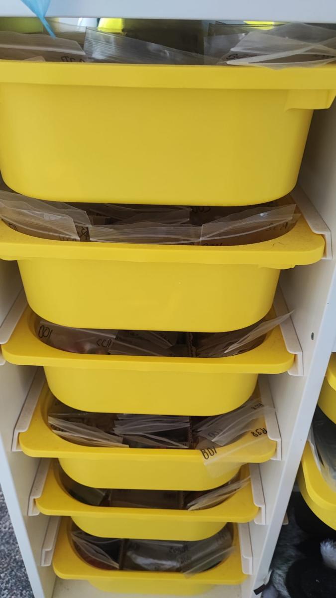 Small Bricklink Store + Unlisted SORTED Bulk + Sets